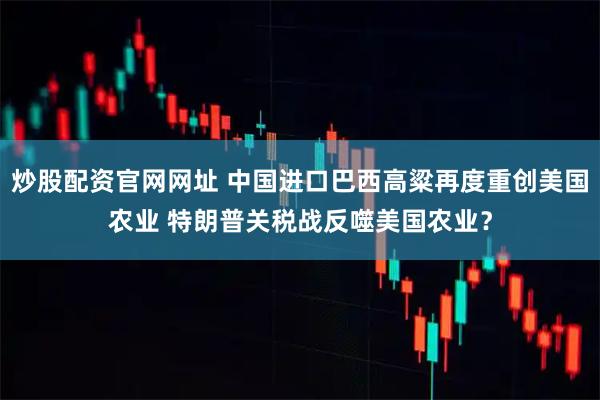 炒股配资官网网址 中国进口巴西高粱再度重创美国农业 特朗普关税战反噬美国农业？
