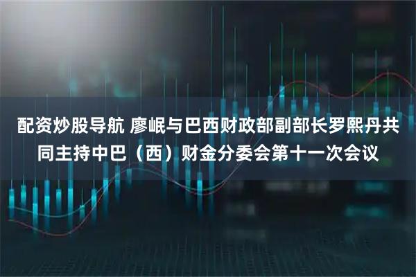 配资炒股导航 廖岷与巴西财政部副部长罗熙丹共同主持中巴（西）财金分委会第十一次会议
