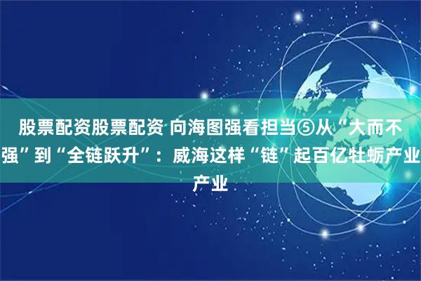 股票配资股票配资 向海图强看担当⑤从“大而不强”到“全链跃升”：威海这样“链”起百亿牡蛎产业
